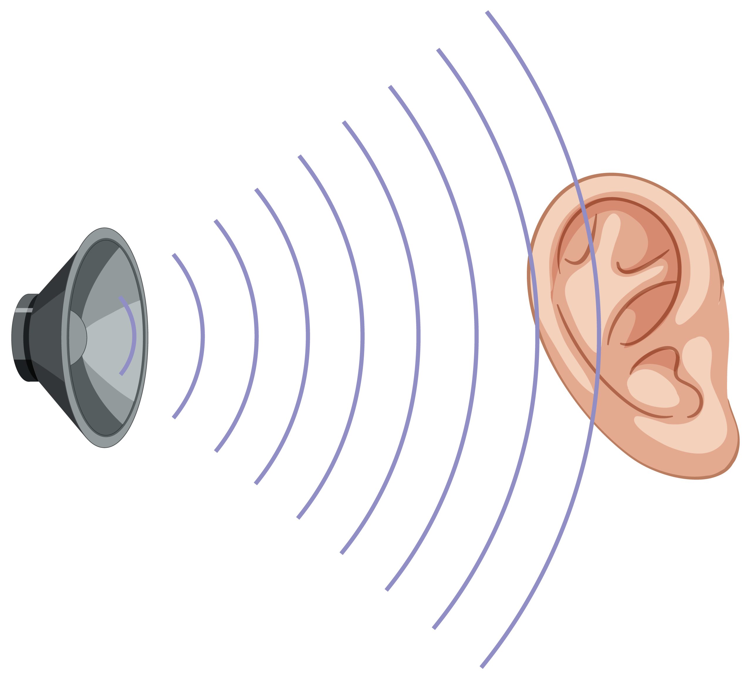 Speaker icon and ear on white background Speaker icon and ear on white background illustration